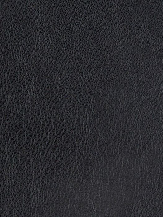 Rok, Black Beauty, hi-res