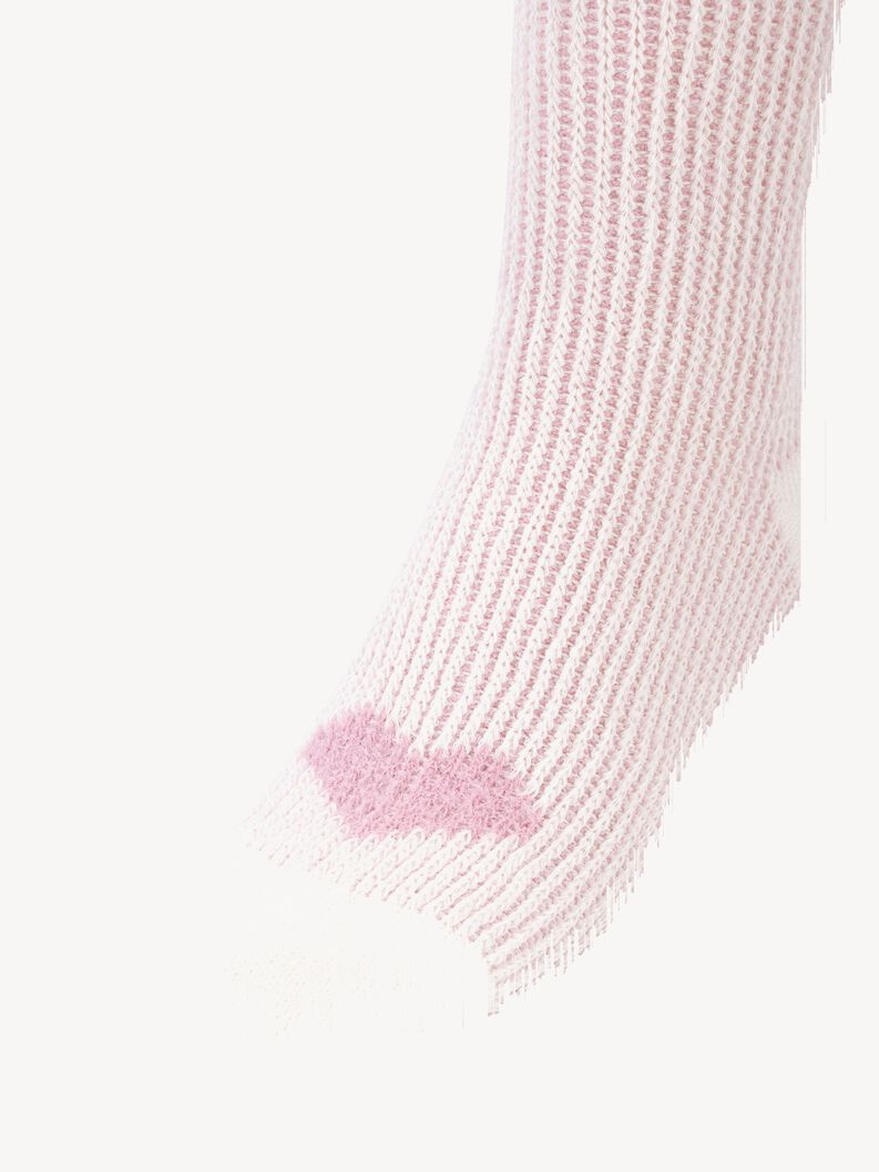 Socks, toadstool, hi-res