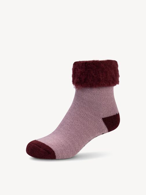 Socks, toadstool, hi-res