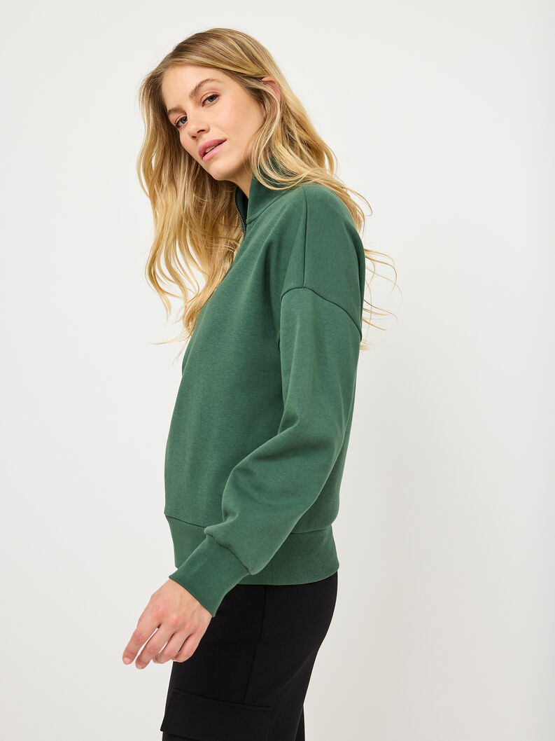 Oversized Sweatshirt, Garden Topiary, hi-res