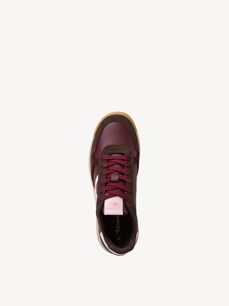sneaker, MERLOT COMB, hi-res