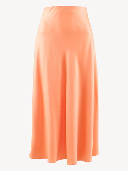 Rock, Shell Coral, hi-res