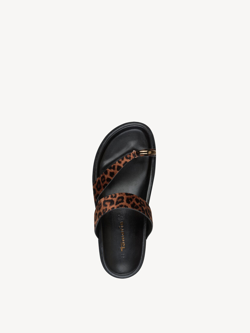 Slipper, LEOPARD, hi-res