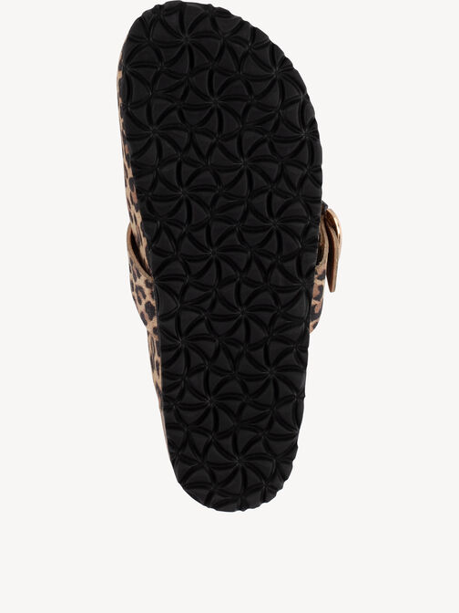 Mule, LEOPARD, hi-res