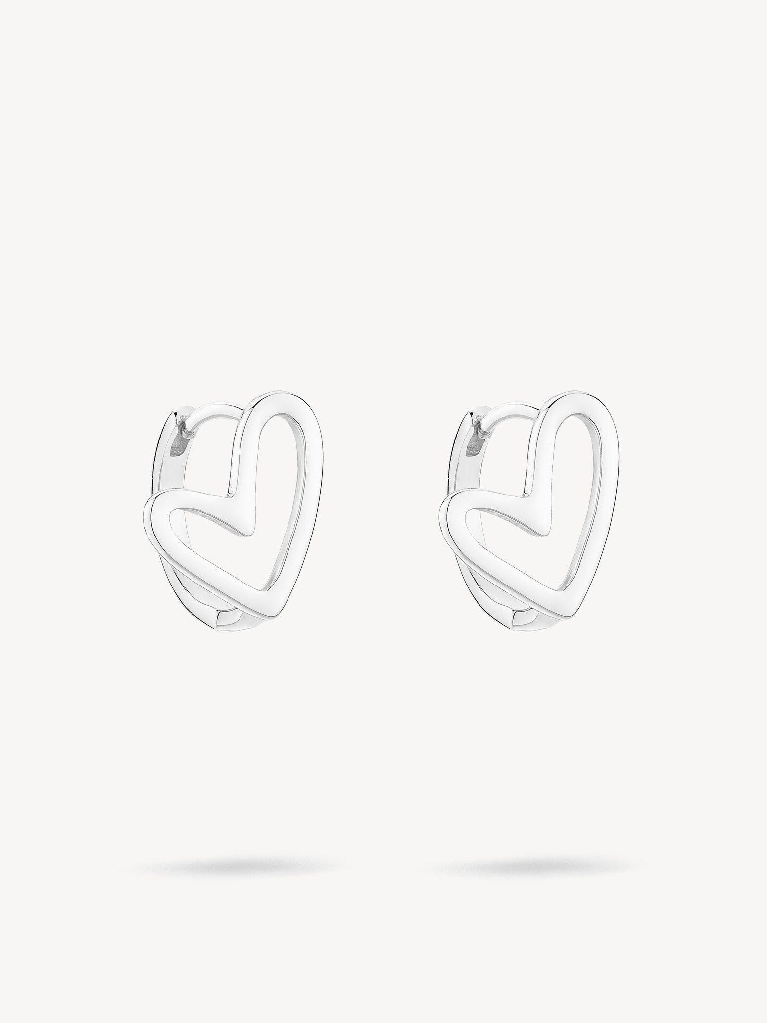 Earrings - silver