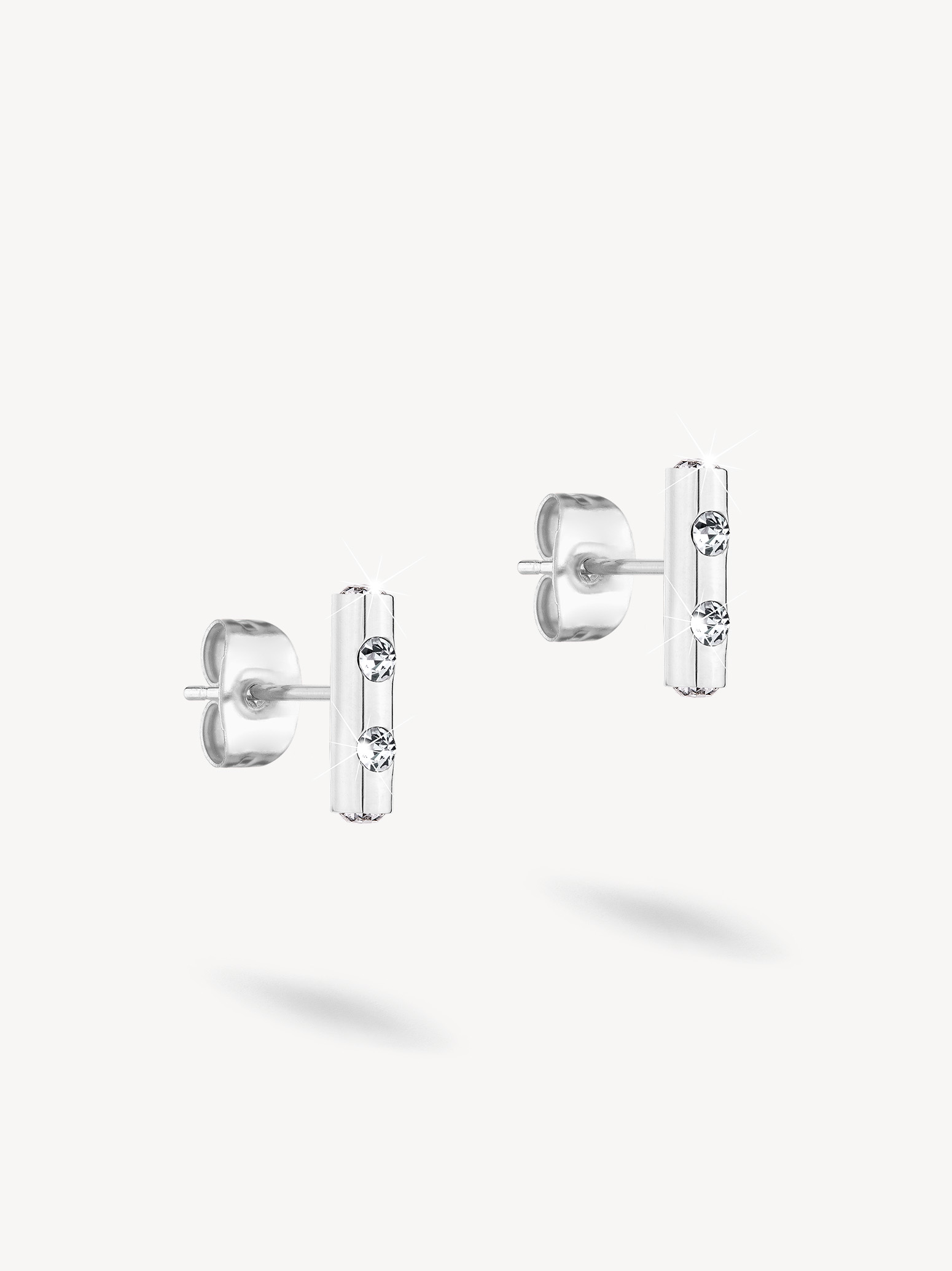 Earrings - silver